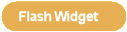 Flash Widget