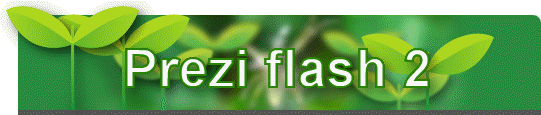 Prezi flash 2