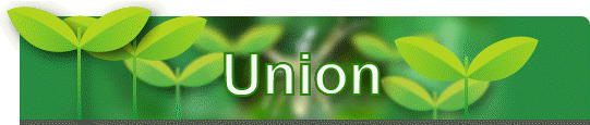 Union