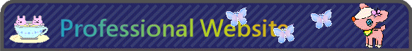 Professional Website