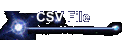 CSV File