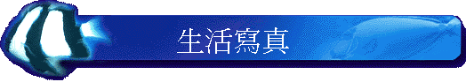 ͬgu