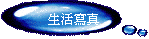 生活寫真