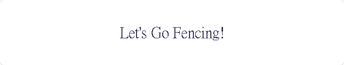 Let's Go Fencing!