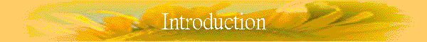 Introduction