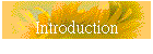 Introduction