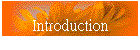 Introduction