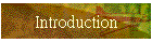 Introduction