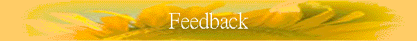 Feedback