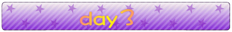 day3