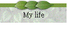 My life
