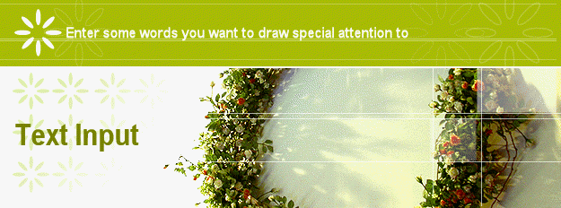 Text Input