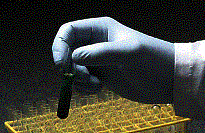 �@�����ǥΨŽ���M