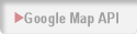 Google Map API