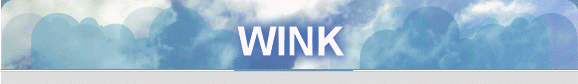 WINK