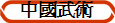 中國武術
