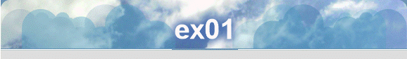 ex01