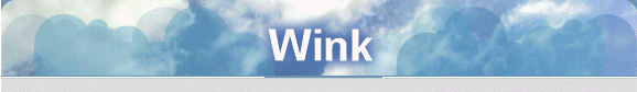 Wink