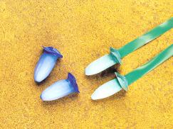 �y�z: �q���ն�