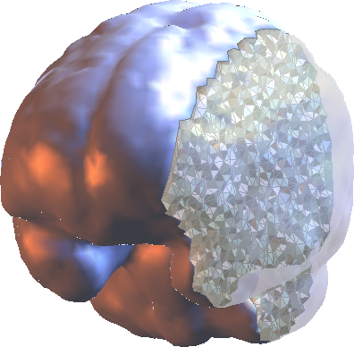 IEMBrain