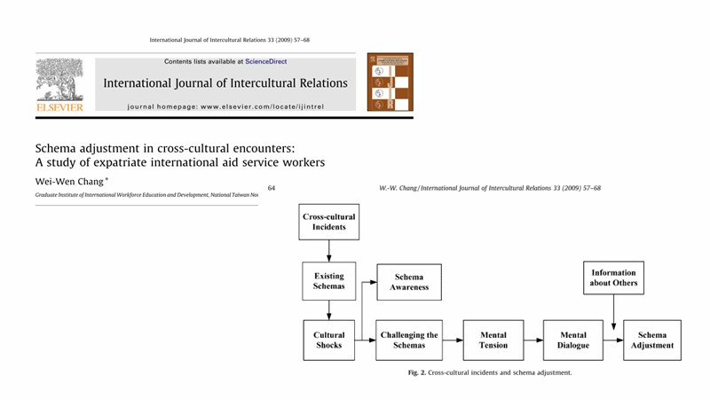 Schema adjustment in cross-cultural encounters