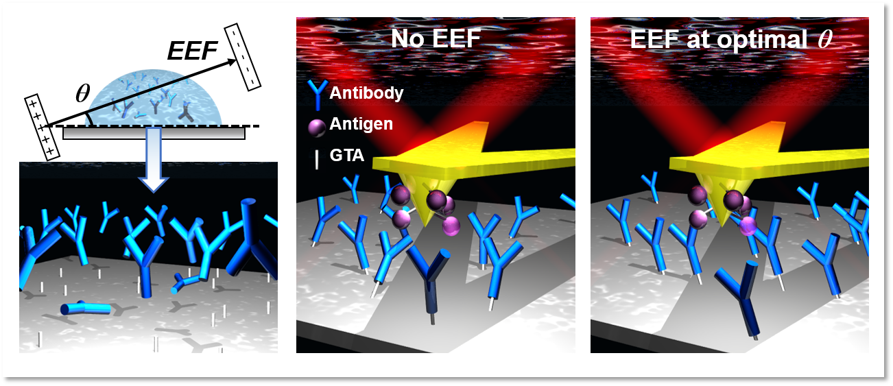 Antigen-antibody interaction detection