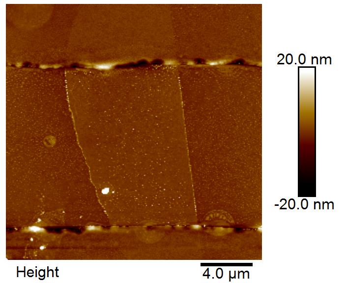 SLGdevice-kpfm-topo-20um.jpg