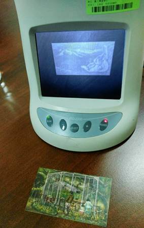 yz: 70058.jpg