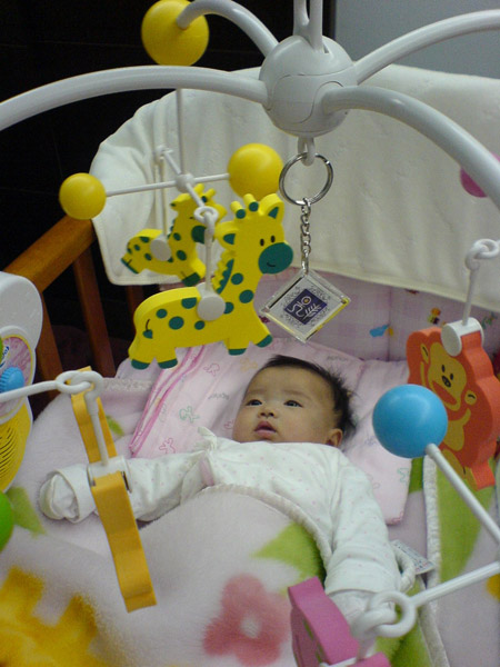 081230DSC01257s
