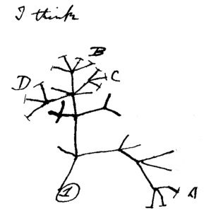 Charles Darwin's firt tree